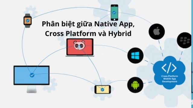 cross platform la gi