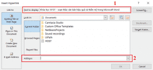 Nhập địa chỉ cần được liên kết trong Word